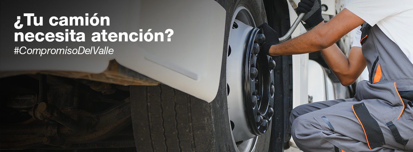 servicio_cmv